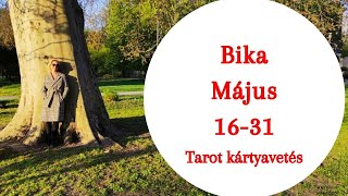 Állj meg egy pillanatraés szagold meg a rózsákat ” általános tarot kártya kivetés bika jegy részére [upl. by Melody]