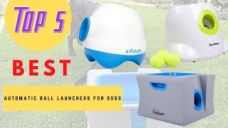 Top 5 Best Automatic Ball Launchers For Dogs 2021 [upl. by Enela]