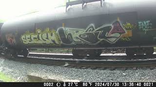 240804 South Facing Backyard Railcam [upl. by Alekram]