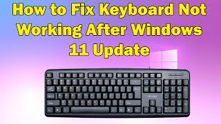 Solving Keyboard Problems After Updating to Windows 11 [upl. by Nnaoj]