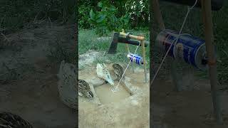 Amazing underground bird trap using an axe shorts [upl. by Diad861]