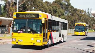 Torrens Transit Adelaide 253  MAN NL202 Diesel ZF Ecomat HILL CLIMB  Loud ZF [upl. by Nichola]