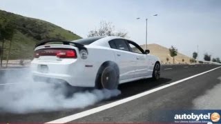 2013 Dodge Charger Super Bee HEMI SRT8 Test Drive amp Muscle Car Video Review [upl. by Rihsab674]