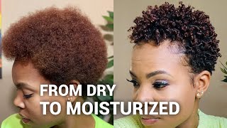 Styling my DRY natural hair  wash and go [upl. by Darius443]