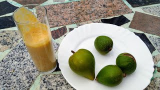 Lucuma Pouteria lucuma Milkshake  better than the fruit [upl. by Lerat701]