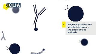 The CLIA immunoassay  How do kits work [upl. by Stochmal47]