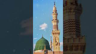 ISLAMIC STATUS shortfeed beautiful islamicstatus naatstatus youtubeshorts shorts viralshort [upl. by Maritsa]