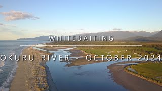 Whitebaiting the Okuru River Haast  October 2024 069 [upl. by Mccall981]