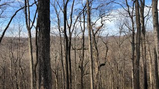 Hike Nashville Mossy Ridge Trail [upl. by Sorilda]