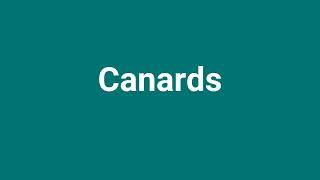 Canards Meaning and Pronunciation [upl. by Adebayo797]