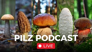 Pilz Podcast Live 68 mit derpilzfluesterer [upl. by Edmunda]