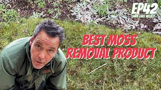 Episode 42  The BEST product for MOSS removal on your lawn [upl. by Drewett]