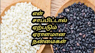 Ellu benefits Tamil  Ellu benefits in tamil  ellu benefits  Tamil Samayal Madurai  health tips [upl. by Eetsirhc271]