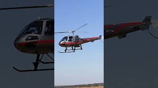 Ever seen an Enstrom helicopter rare flyby helipilot short shortvideo [upl. by Drazze]