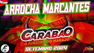 CARABAO  ARROCHA MARCANTES  SETEMBRO 2024 [upl. by Mady]