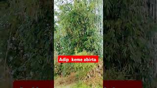 Adip keme abirta shortvideo [upl. by Tirza]