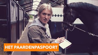 Alles over het paardenpaspoort  PaardenpraatTV [upl. by Jordan]