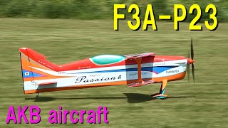 F3AP23 AKB aircraft Super Passion α【ラジコン飛行機】 [upl. by Remington]