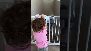 Babelio Secure Every Step with Babelio Baby Gate [upl. by Eerb]