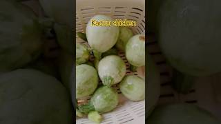 Chappan kaduu chickenyoutubeshorts cookingchannel food beaf [upl. by Eissirc]