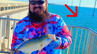 Welcome to YELLOW JACK CITY SLAYFEST  FL Keys Bridge Fishing [upl. by Elockcin]