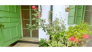 How to beautiful home at flowers  bangladeshi vlog brahmanbaria vlogger [upl. by Calica]