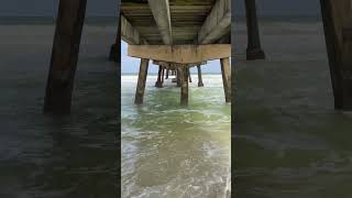 Lauderdale by the Sea pier beach life [upl. by Cruickshank]