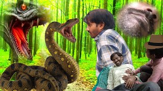 Anaconda snake Attack In Real Life A Short Film  Snake Video Anacondapramodprajapati [upl. by Gabor]