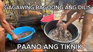 DILIS Gagawing Bagoong Panoorin fypシ゚viral viralvideo [upl. by Jacklin]