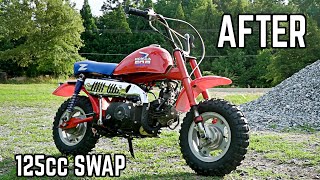 Honda Z50R Budget Restoration  Transforming a FORGOTTEN Honda Mini Bike [upl. by Odlanir]