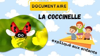 La coccinelle  Documentaire pour les enfants  Sciences ludiques 🍃Fiches GRATUITES à imprimer [upl. by Hagile]