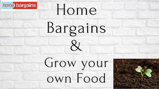 Little trip to Home Bargains Grow your own food [upl. by Philemon]