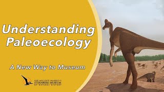 Understanding Paleoecology  A New Way to Museum [upl. by Moll]