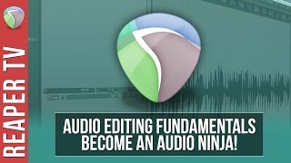 REAPER Tutorial Audio Editing Fundamentals [upl. by Goff]