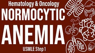 Normocytic Anemia Basics HemeOnc  USMLE Step 1 [upl. by Florin]