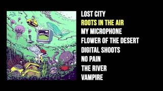 Iseo amp Dodosound  Roots in the Air Full Album [upl. by Gianni]