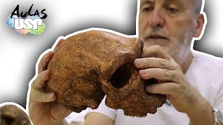 Saga da Humanidade  Aula 9 Homo heidelbergensis [upl. by Misty]