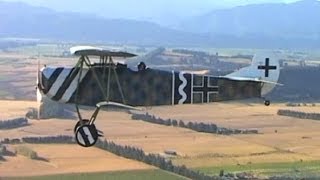 Fokker DVII  WW1 German fighter 1918 [upl. by Rodgiva]