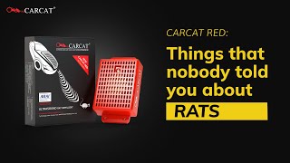 How to ratproof car  no more rats in car  CARCAT rat repellent  ultrasound Rat Repellent [upl. by Ogirdor451]