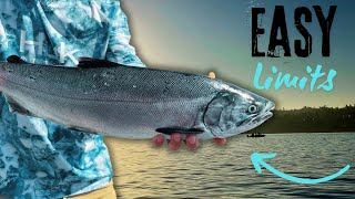 How We Catch Puget Sound COHO Salmon [upl. by Lleira]