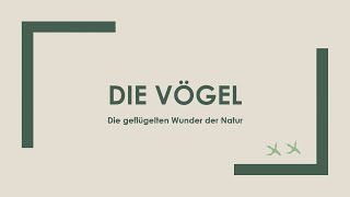 Die Vögel einfach und kurz erklärt [upl. by Nevs788]