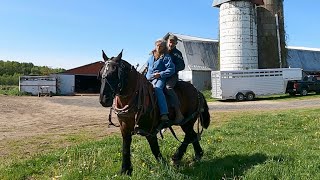 Two on a Draft HorseThe Everyday struggles of Farm life485 [upl. by Enened]