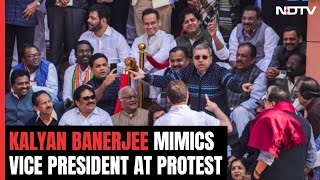 MP Mimics Vice President At Protest Rahul Gandhi Takes Video quotIm So Tallquot [upl. by Woodall]