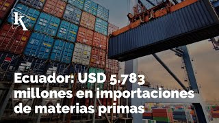 Las materias primas lideraron las importaciones hasta agosto [upl. by Shannen]