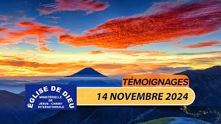 Témoignages – 14 novembre 2024  ÉDMJCI [upl. by Hendon]