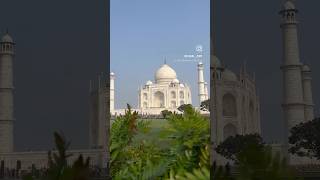 Taj Mahalshortstajmahalbrotherslifestyle84youtubeshorts [upl. by Mikol]