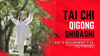 Tai Chi Qigong Shibashi Set 3 Tutorial  Movements 712  Mirrored version with all the details [upl. by Stirling318]