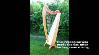 Blevins Serenade 31 Harp [upl. by Ardnaeed]