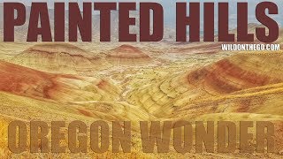 Painted Hills Oregon  John Day Fossil Beds National Monument  Full Time RV Travel [upl. by Rapp]