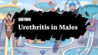 Urethritis in Males Lesson Part 1  Sketchy Medical  USMLE Step 2 CK [upl. by Orelee]